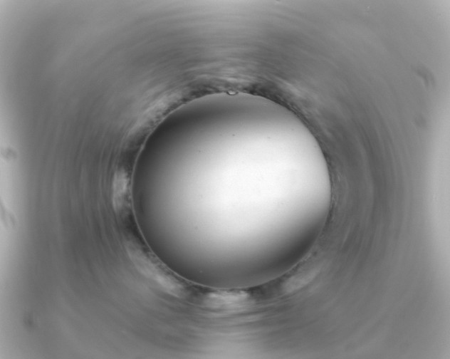 X0000091350480200708101534