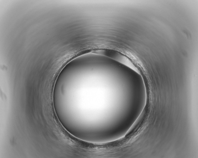 X0000091350481200708101533