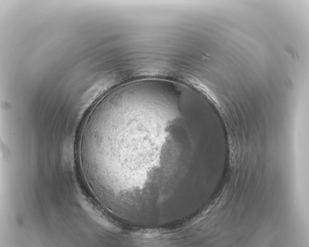 X0000091350482200708101533