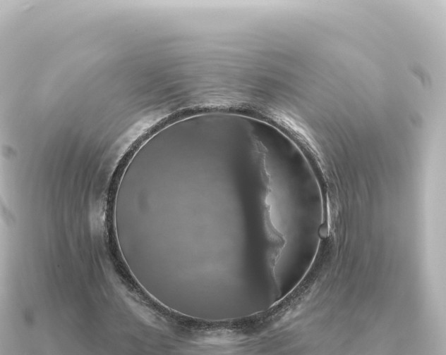 X0000091350483200708101533