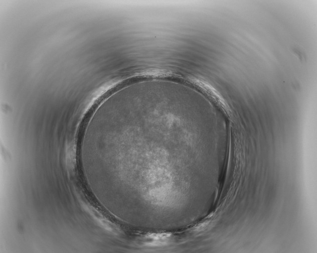X0000091350484200708101533