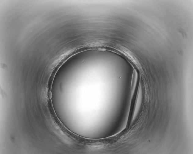 X0000091350485200708101533