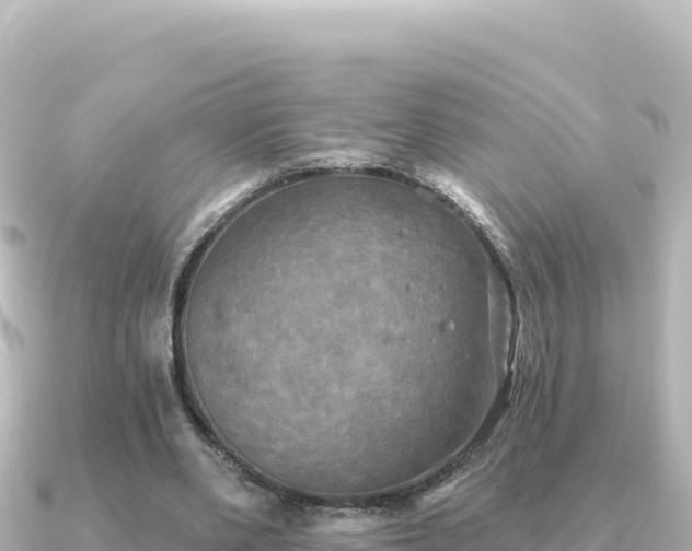 X0000091350486200708101533
