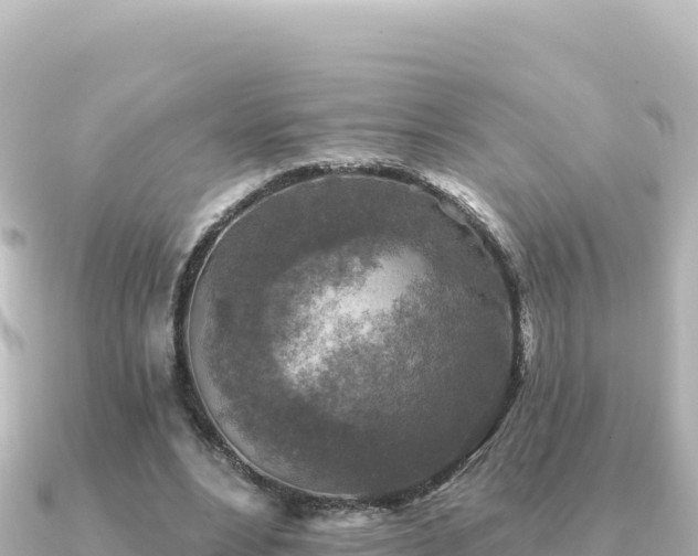 X0000091350488200708101533