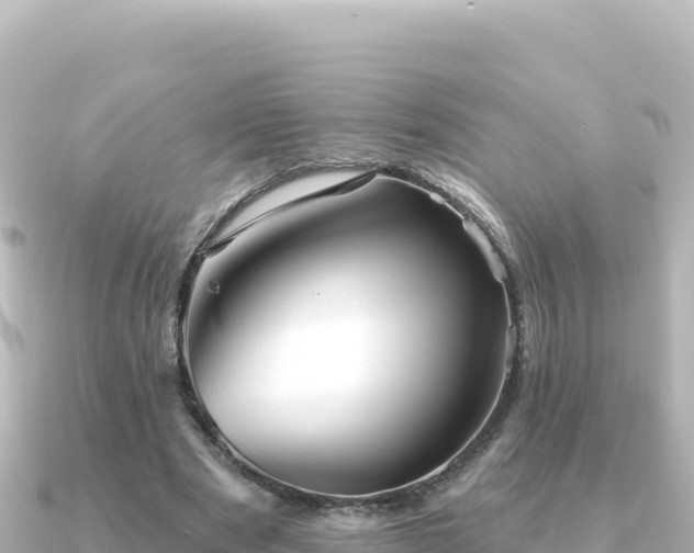 X0000091350489200708101533