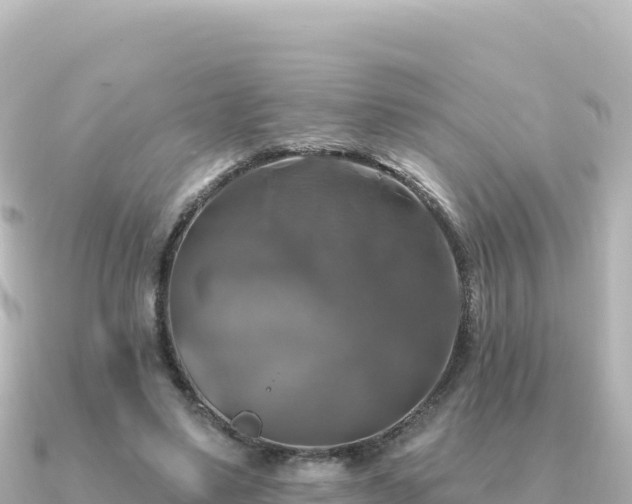 X0000091350491200708101533