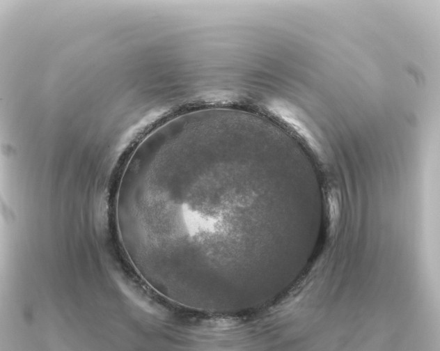 X0000091350492200708101533