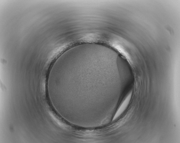 X0000091350493200708101533