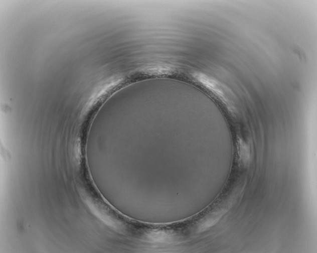 X0000091350494200708101533
