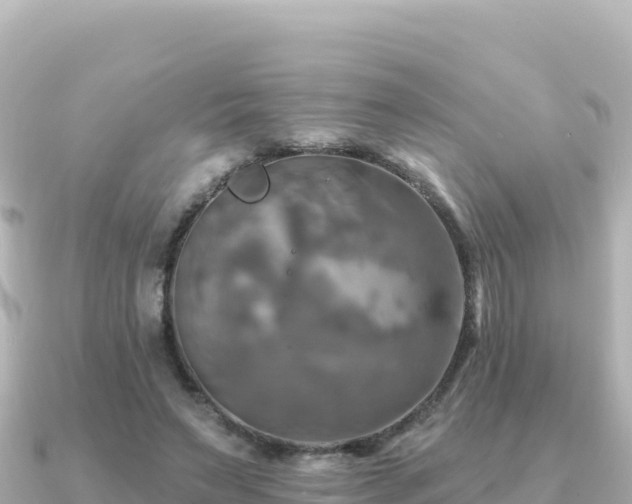X0000091350495200708101533