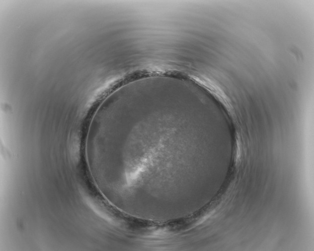 X0000091350496200708101533
