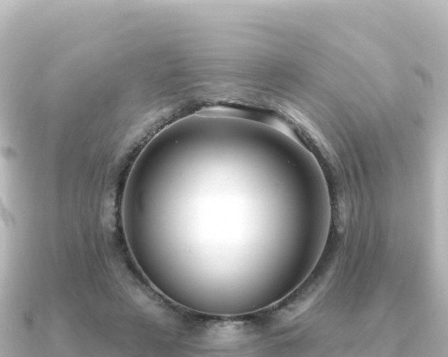 X0000091350497200708101533