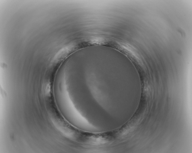 X0000091350502200708101533