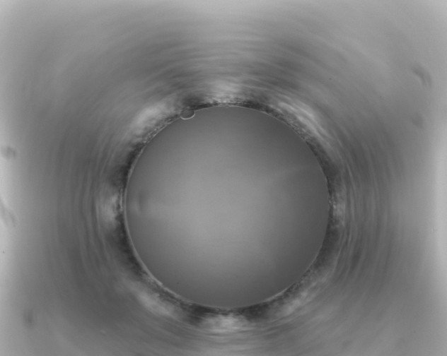 X0000091350503200708101533
