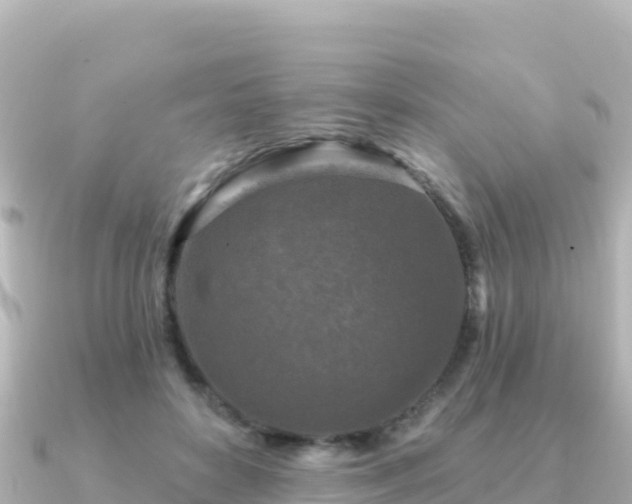 X0000091350504200708101533