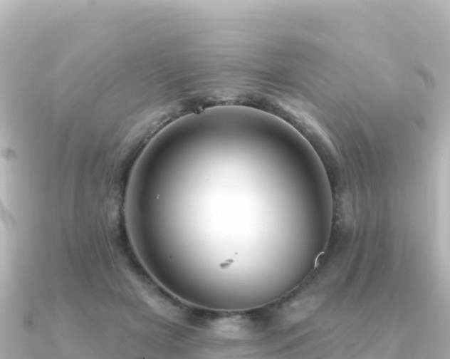 X0000091350505200708101533