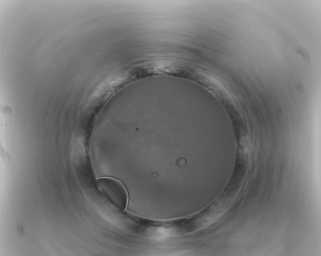X0000091350506200708101533