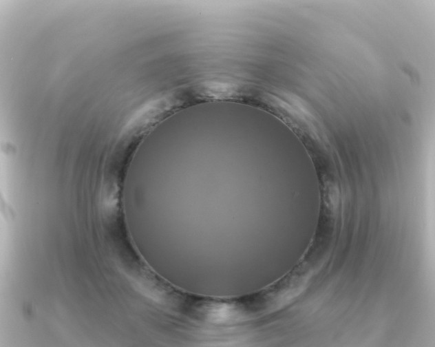 X0000091350507200708101533