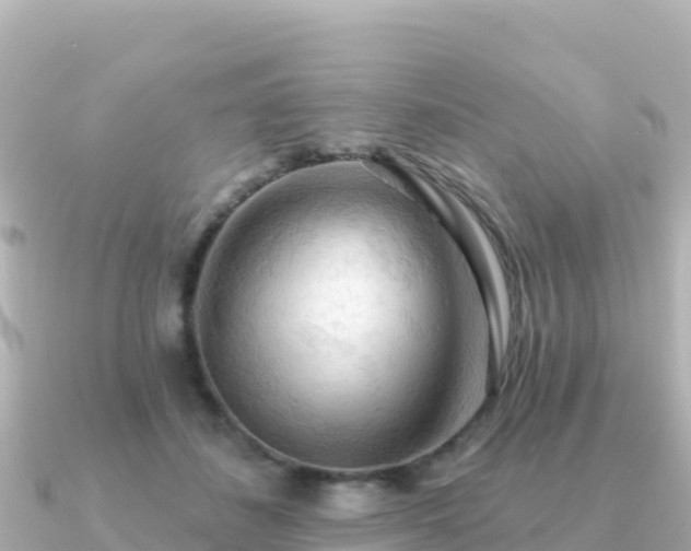 X0000091350508200708101533