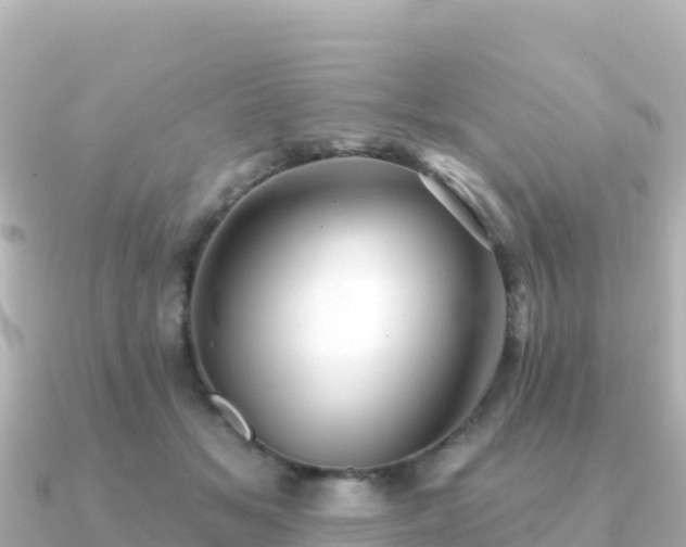 X0000091350509200708101533