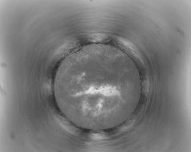 X0000091350510200708101533