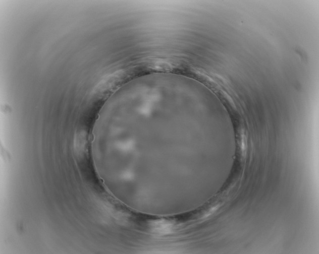 X0000091350511200708101533