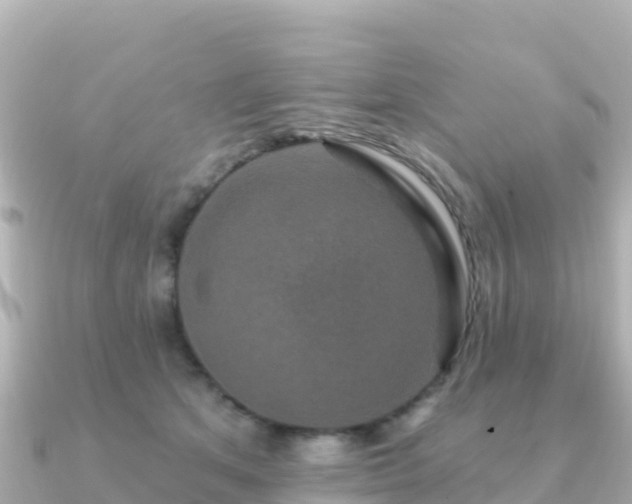 X0000091350513200708101533