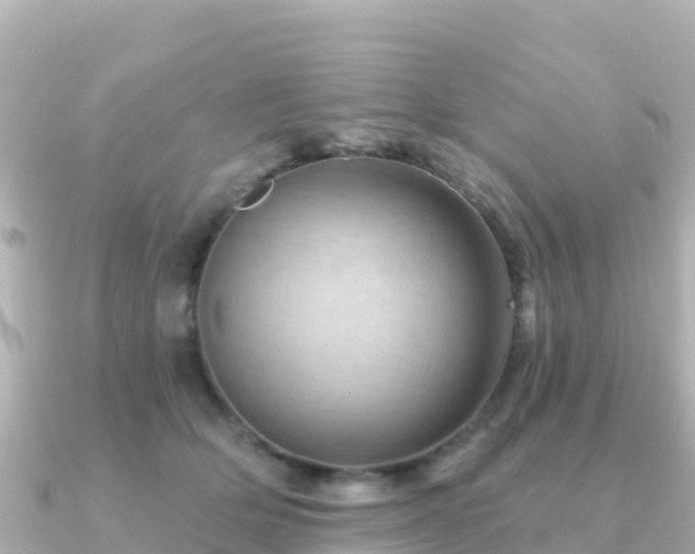 X0000091350514200708101533