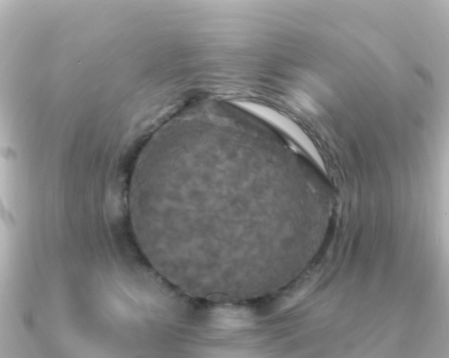 X0000091350515200708101533