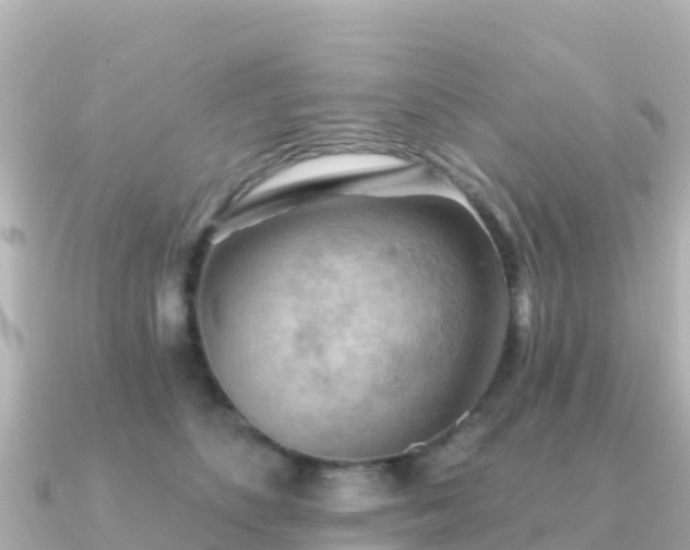 X0000091350516200708101533