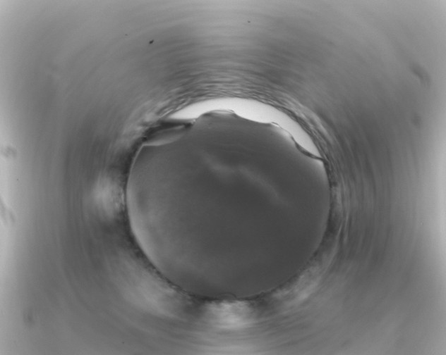 X0000091350517200708101533