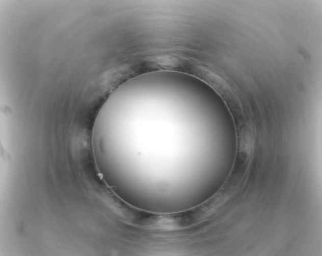 X0000091350518200708101533