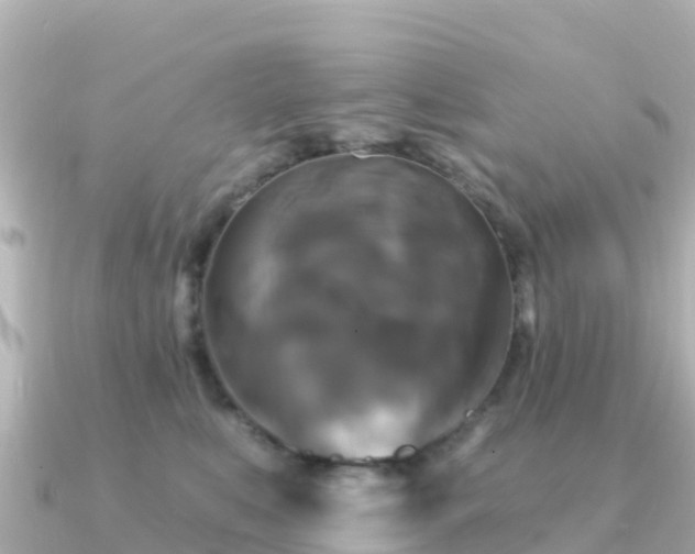 X0000091350519200708101533