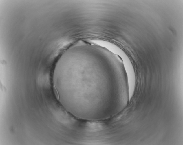 X0000091350520200708101533