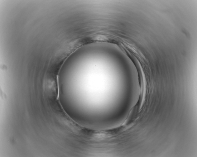 X0000091350521200708101533