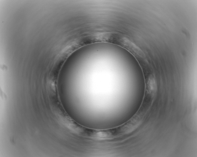 X0000091350522200708101533