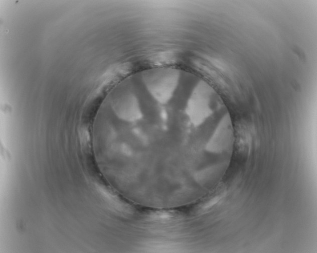 X0000091350523200708101533