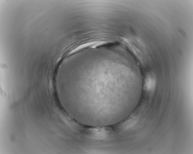 X0000091350524200708101532