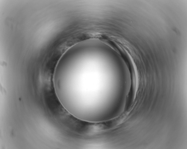 X0000091350525200708101532