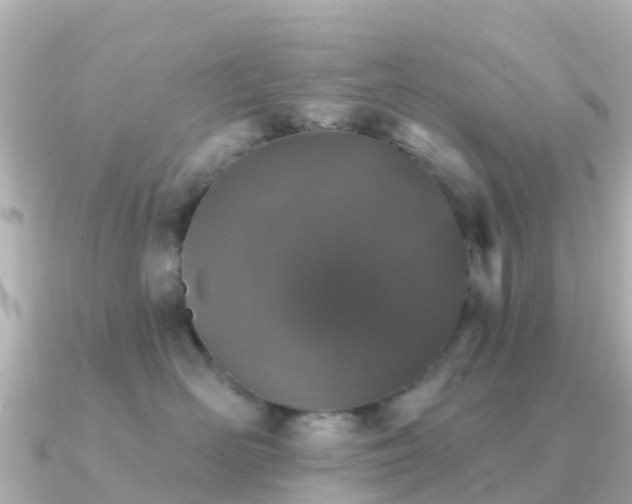 X0000091350526200708101532