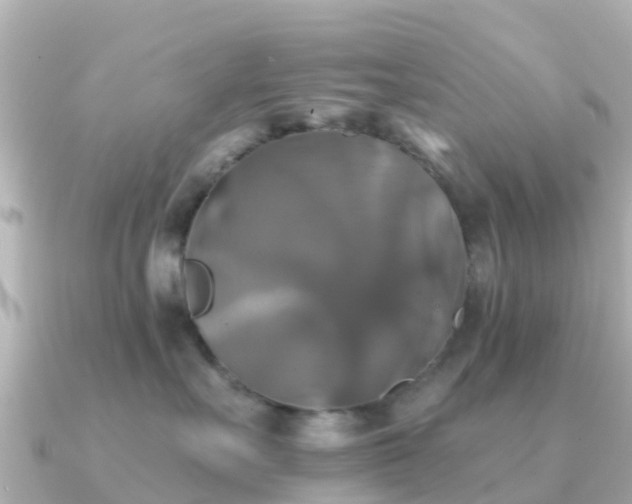 X0000091350527200708101532
