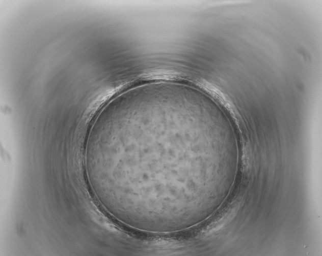 X0000091350529200708101532