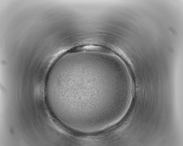 X0000091350530200708101532