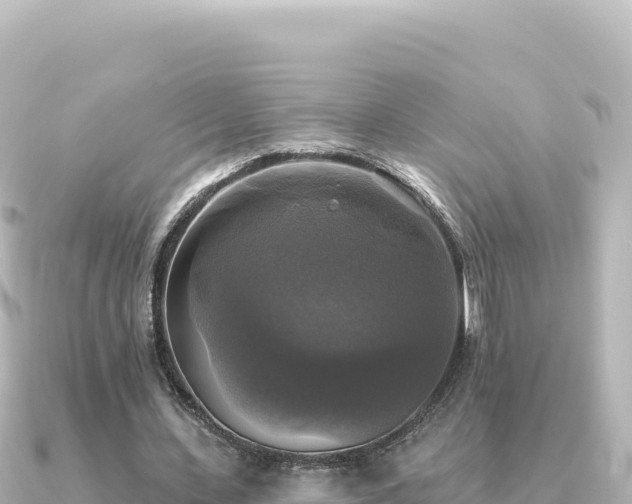 X0000091350531200708101532