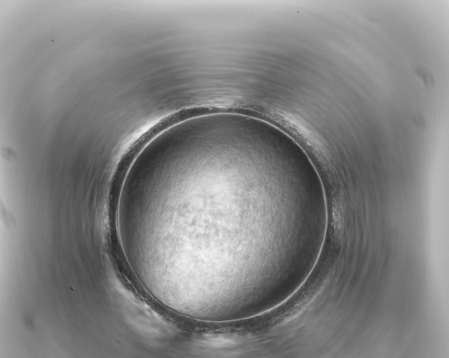 X0000091350532200708101532
