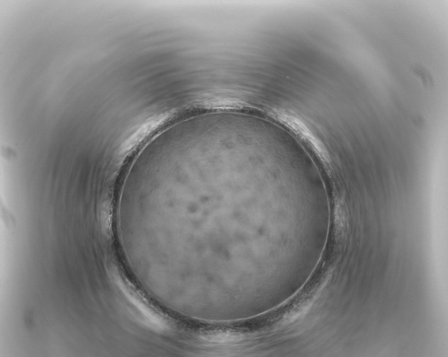 X0000091350533200708101532