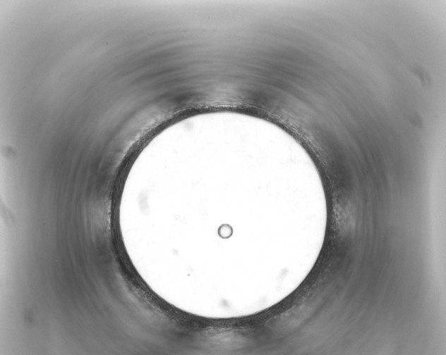 X0000091350534200708101532