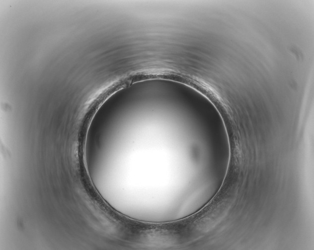 X0000091350535200708101532