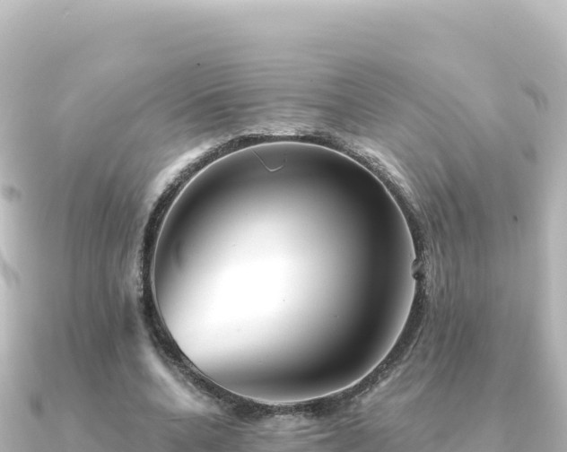 X0000091350536200708101532