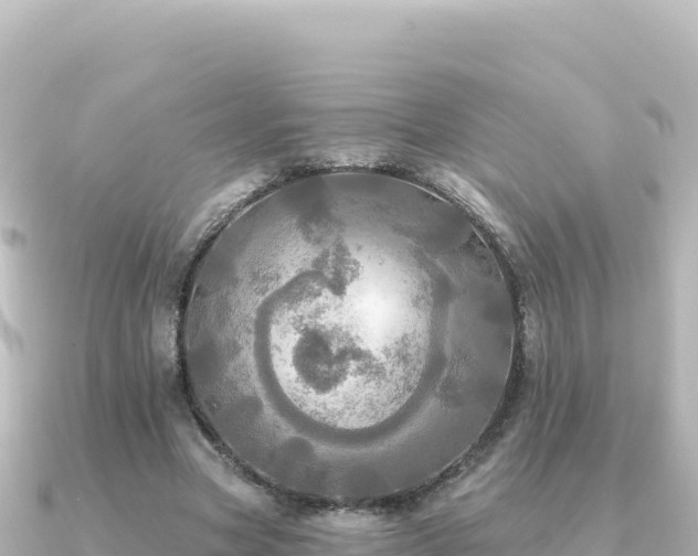 X0000091350537200708101532